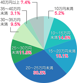 20〜25万円未満 30.2%